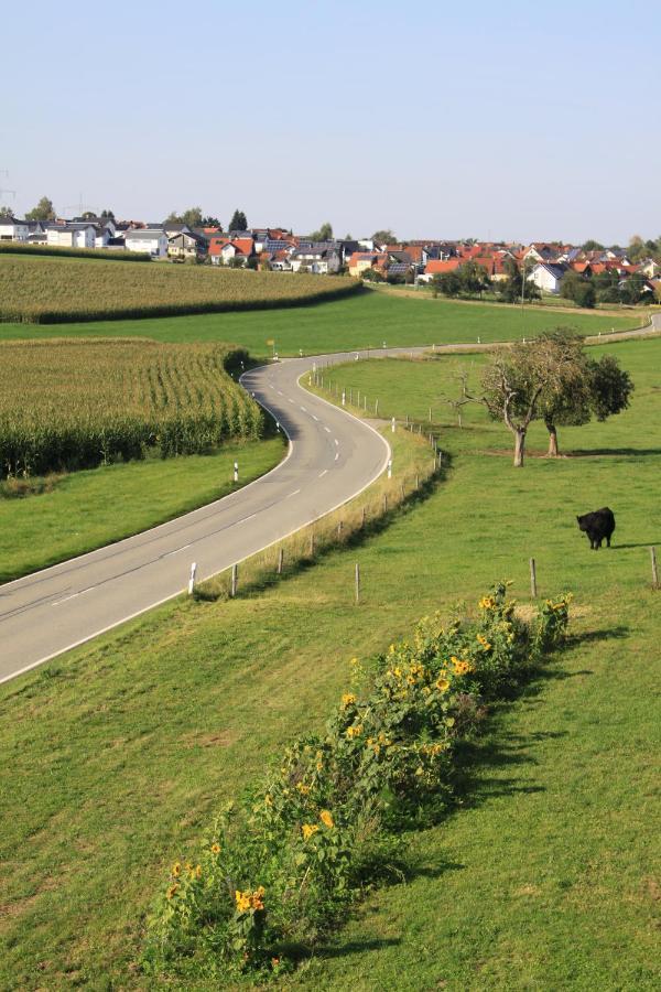 Traubshof Appartement Ochsenhausen Buitenkant foto