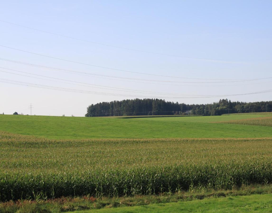 Traubshof Appartement Ochsenhausen Buitenkant foto