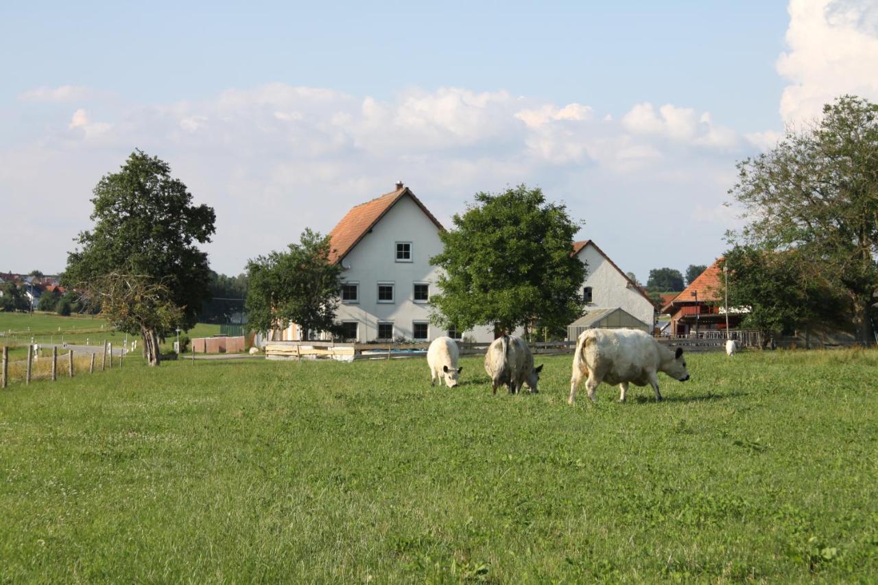 Traubshof Appartement Ochsenhausen Buitenkant foto