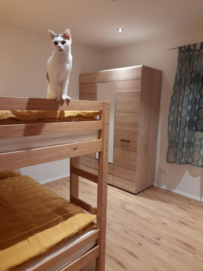 Traubshof Appartement Ochsenhausen Buitenkant foto